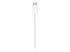 Apple MagSafe Charger - Pange kinni