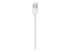 Apple - Lightning cable - Pange kinni
