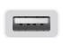 Apple USB-C to USB Adapter - Alumine pool