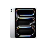 Apple iPad Pro 11" M4 Wi-Fi + Cellular 256GB with Standard glass